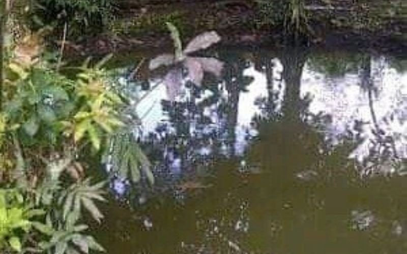 Awas ! Jangan Berkata Bohong Kalau Sudah Minum Air Blumbang Taman Pemalang