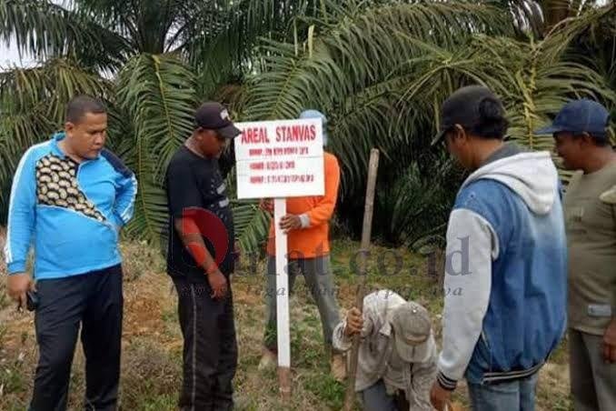 Kisruh Lahan Stanvas Batahan,Ternyata KTBM Telah Terima 5 Miliar Dari PT. Sago Nauli