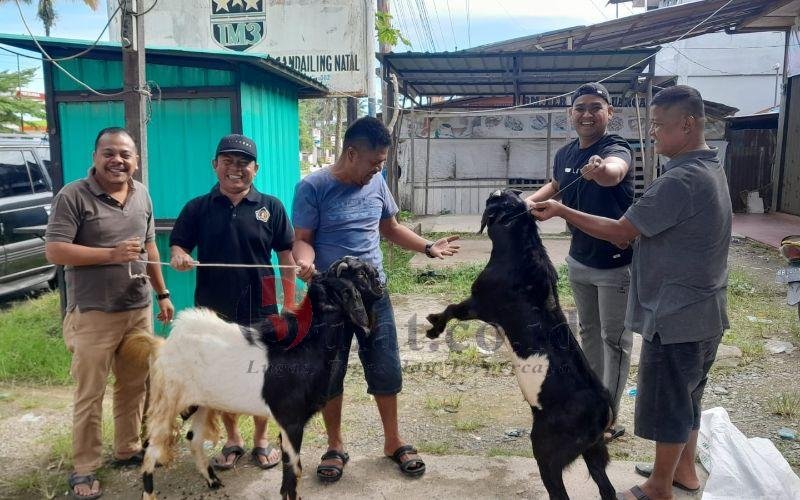 PWI Madina Berkurban Dua Ekor Kambing Hibah Pemkab Madina