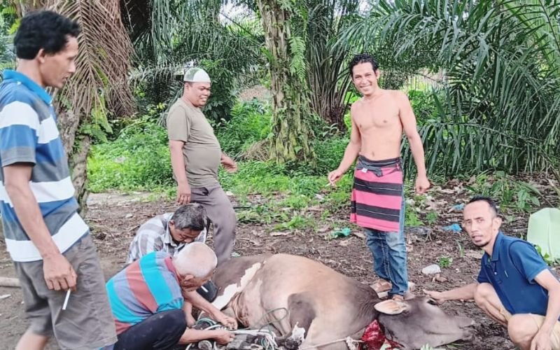 dr Riski Ramadhan Hasibuan dan Keluarga Berkurban di Kota Tebing Tinggi
