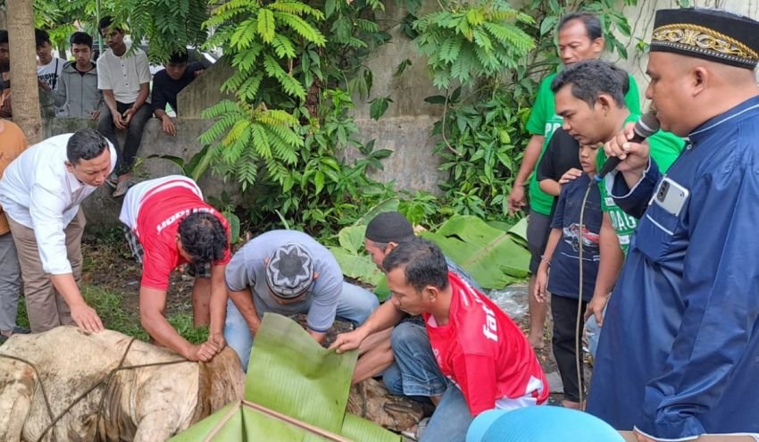 Tradisi Menyatukan Masyarakat Melalui Kurban di Masjid Al-Ikhlashiyah
