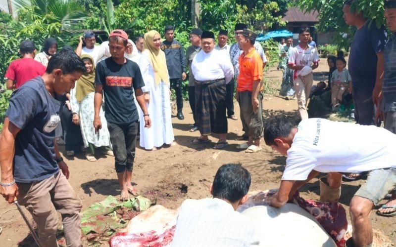 Bupati Tapsel Tinjau 3 Lokasi Pemotongan Hewan Kurban