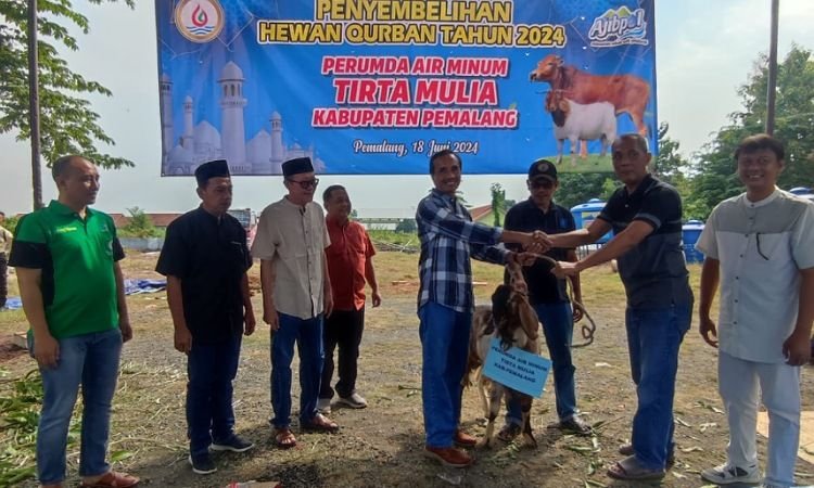 Perumda Tirta Mulia Sumbangkan Puluhan Hewan Korban Untuk Masyarakat
