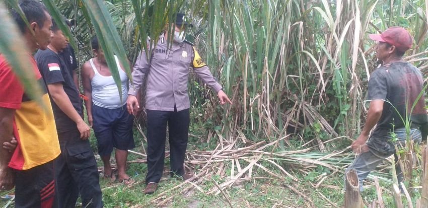 Warga Sergai Tewas Tersambar Petir