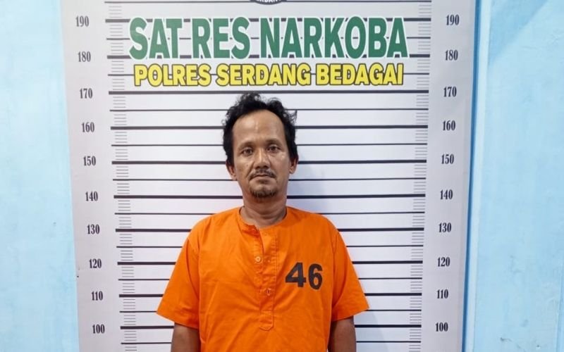 Edarkan Ganja, Warga Pematang Ganjang Diringkus Tim Satnarkoba Polres Sergai