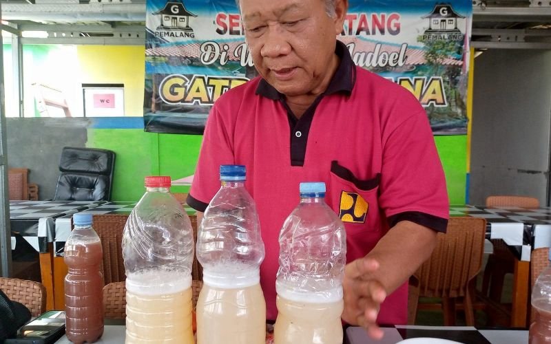 Photosynthetic Bacteria: Solusi Cerdas Atasi Kelangkaan Pupuk dan Tingkatkan Hasil Panen!
