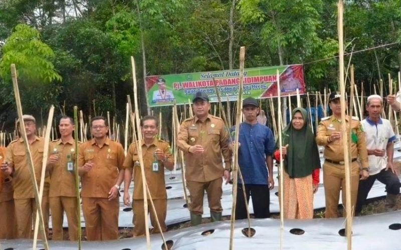 Pj Walikota Turun Langsung, Ini Salah Satu Langkah Pemko Sidempuan Tangani Inflasi