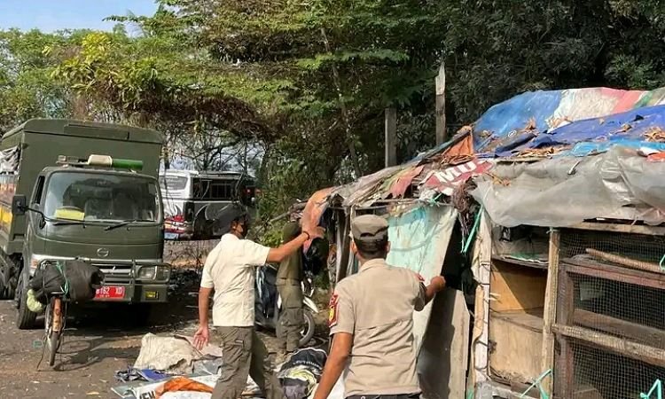 Terlihat Jorok dan Kumuh , Deretan Bangunan Liar Di Sekitar Terminal Bus Pemalang Dibongkar