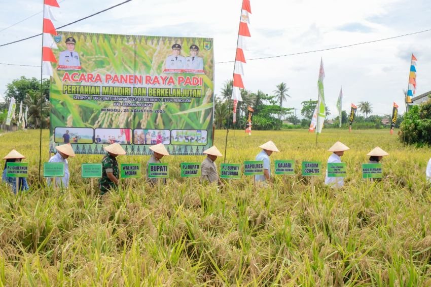 Tembus Gabah 7-8 Ton per Hektar di Sergai, Bupati Ajak Sinergi Antar Daerah Capai Ketahanan Pangan Sumut