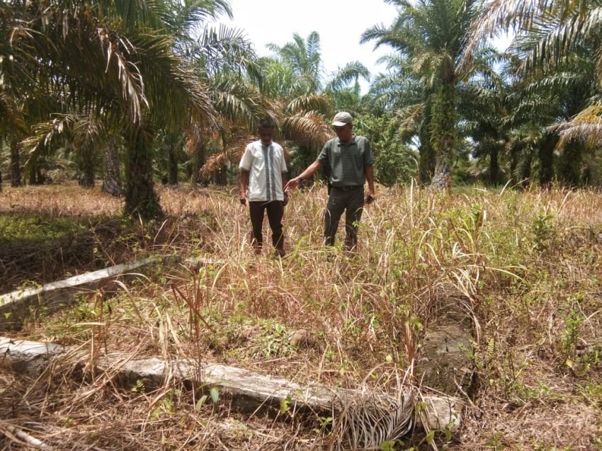 Camat Batahan Ziarahi Makam Raja Perempuan