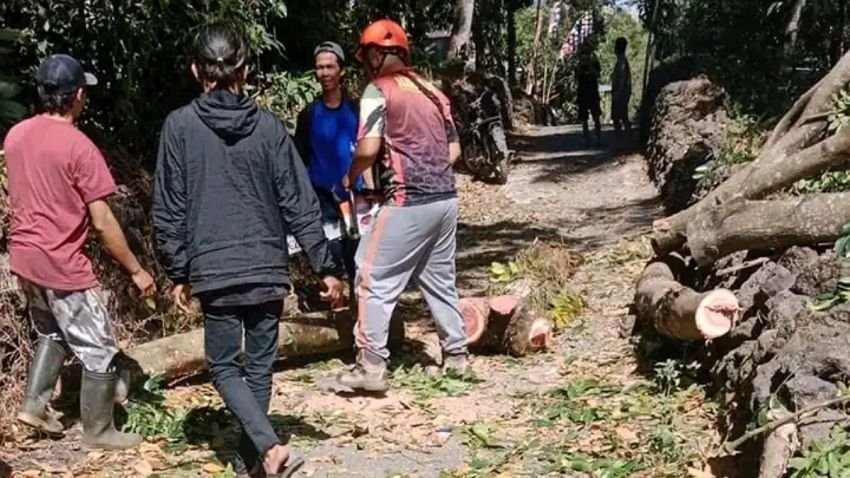 Awas !  Angin Kencang Di Pemalang Robohkan Pohon dan Atap Rumah Warga&nbsp;&nbsp;