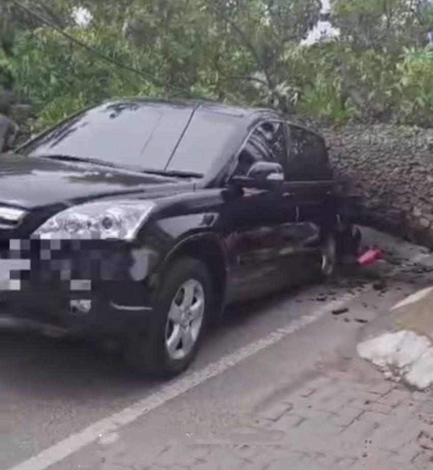 Pohon Tumbang, Mobil dan Sepeda Motor Ringsek Ditempat