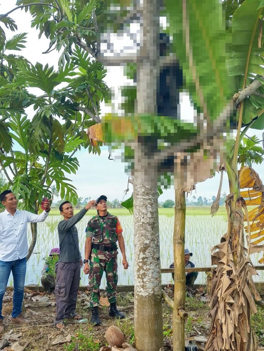 Warga Pematang Ganjang Ditemukan Tewas Gantung Diri di Pohon Sukun