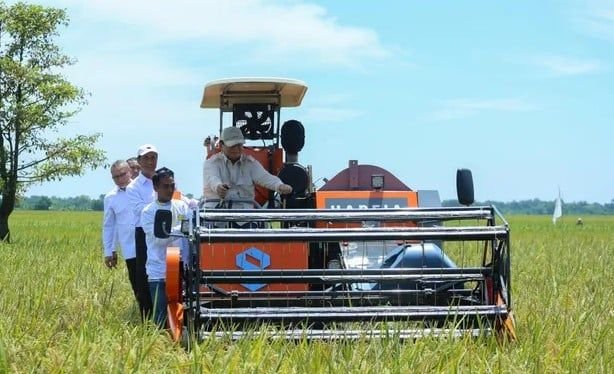 Presiden Prabowo Subianto Gelar Panen Raya Padi Serentak 14 Provinsi, Bupati Labuhanbatu Absen