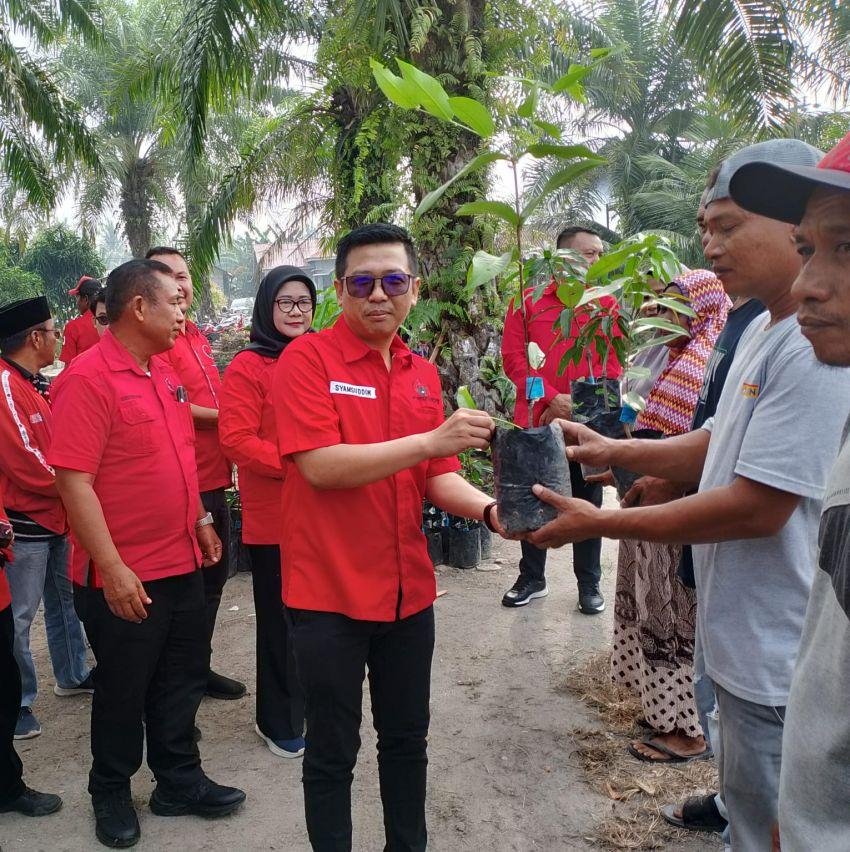 Peringati Bulan Bung Karno, DPC PDI Perjuangan Sergai Tanam Ratusan Pohon