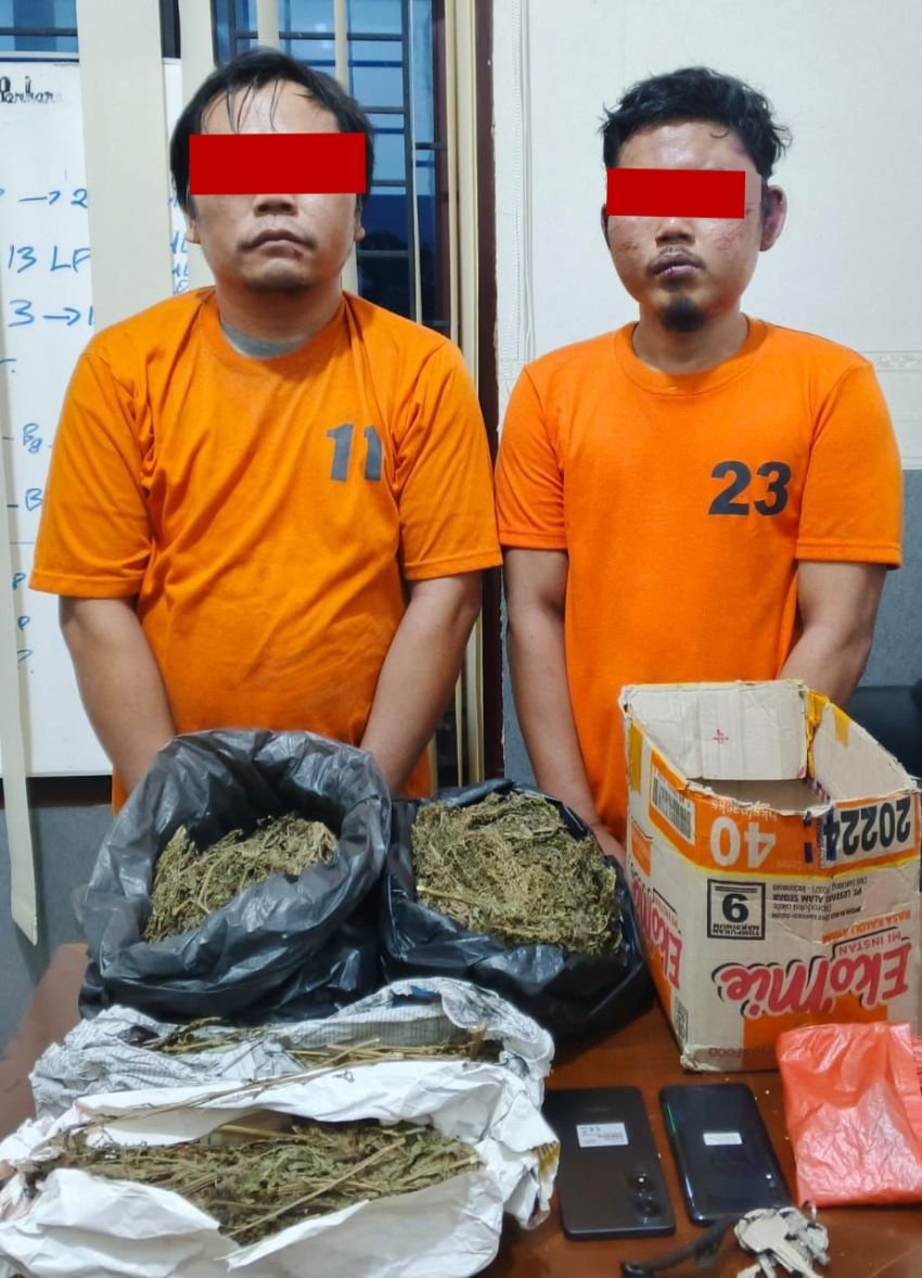 Satresnarkoba Polres Labuhanbatu Tangkap Truck Berisi Narkoba Tabrak Kapos Lantas