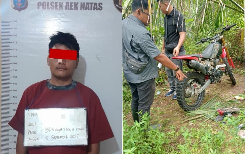 Dalam Hitungan Jam, Pencuri Motor di Ringkus Polsek Aek Natas