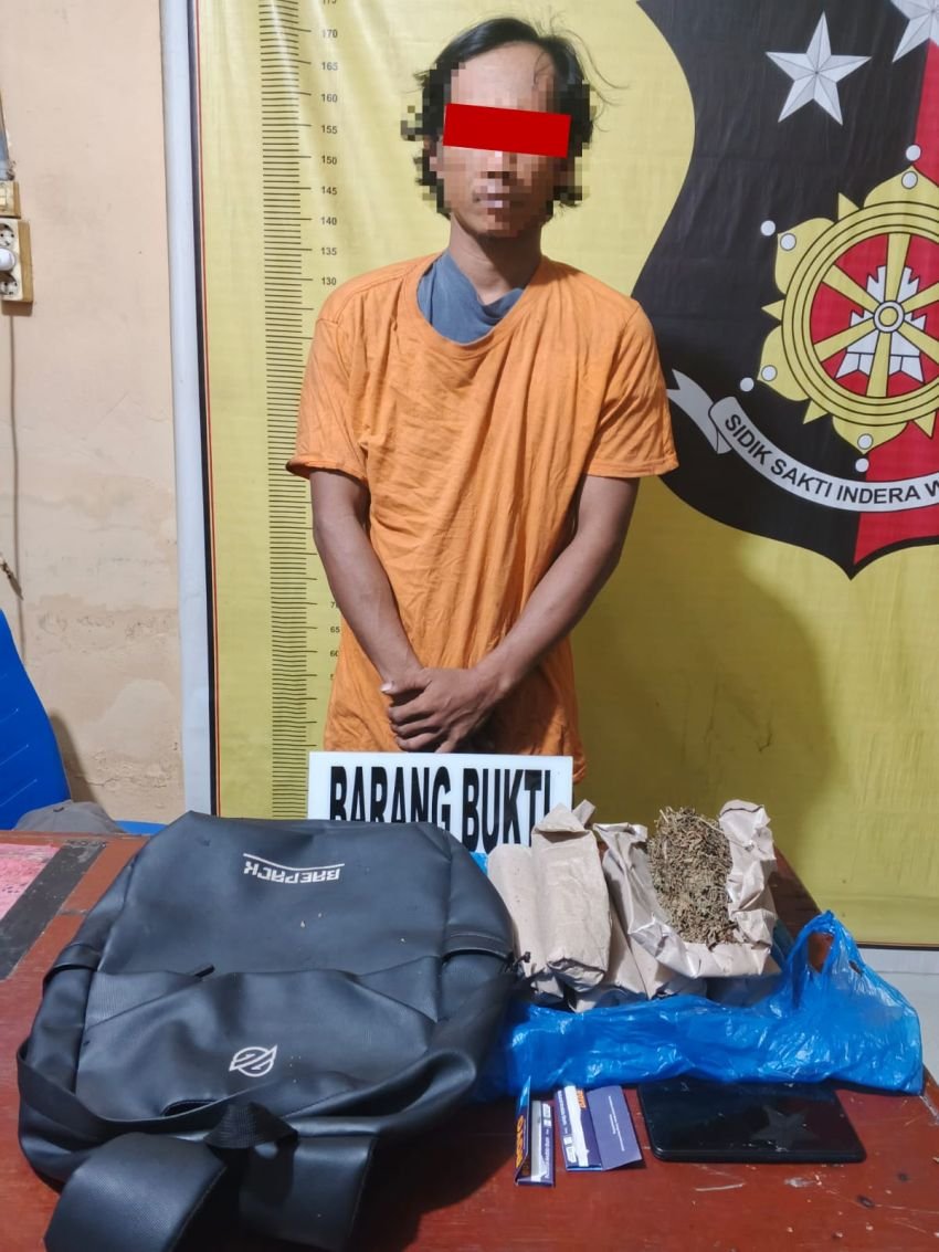 Bekuk Pengedar Narkotika, Polsek Panai Tengah Sita 500 Gram Ganja Kering