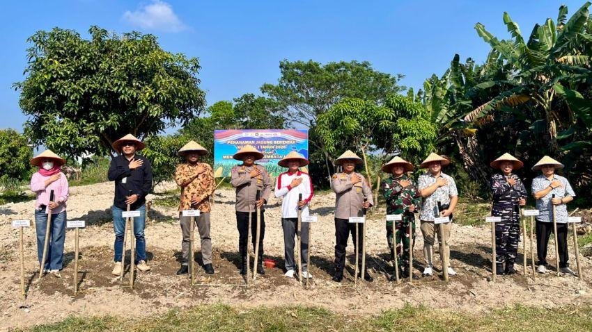 BRI BO Kisaran Ikuti Tanam Raya Jagung Serentak, Dukung Swasembada Pangan 2026