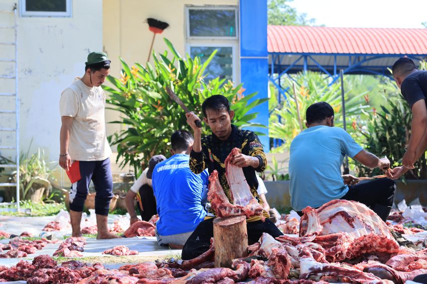 Unsam Salurkan Semangat Berbagi Idul Adha Melalui Penyembelihan 27 Ekor Sapi Kurban