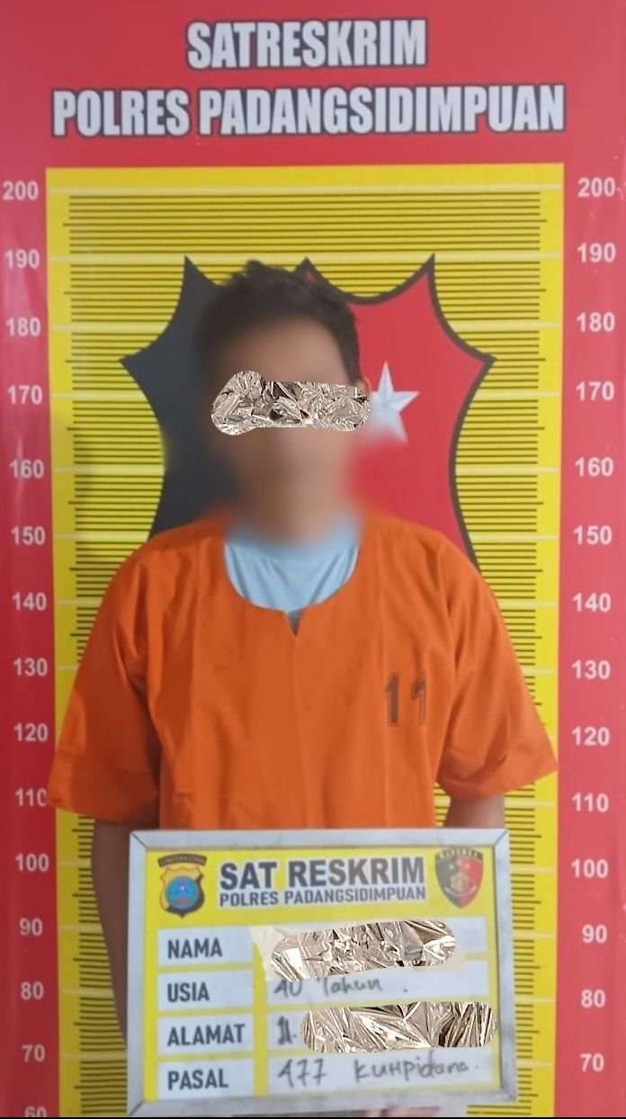 Bobol Toko Pakaian di Simpang IKIP, Pria di Padangsidimpuan Ditangkap Polisi