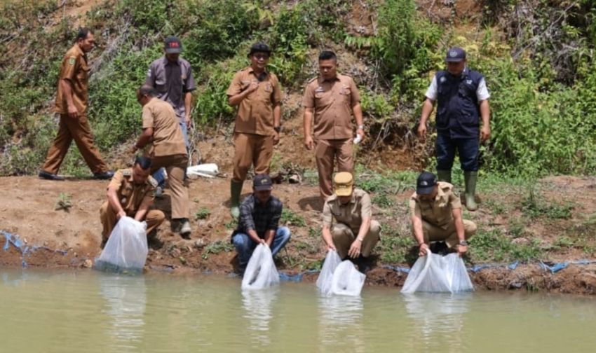 Pokdakan Maju Jaya Desa Sanggapati Tapsel Dapat Bantuan Benih dan Pakan Ikan