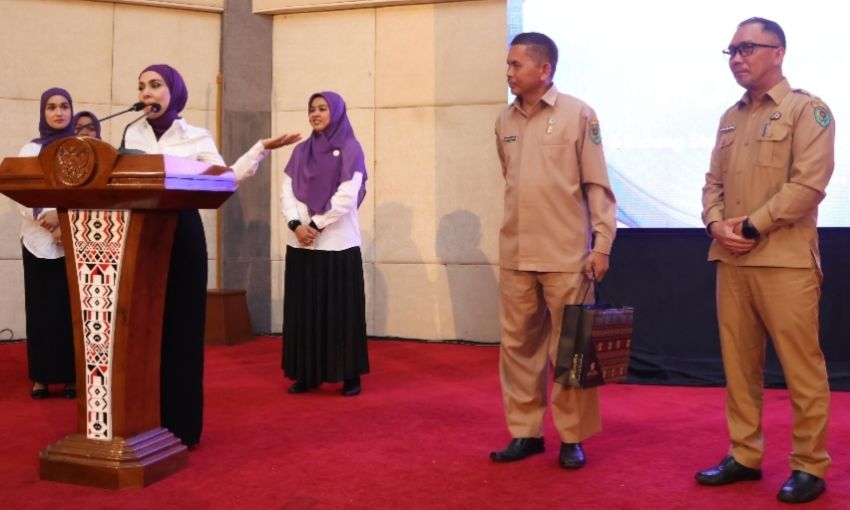 Ketua Tim Pembina Posyandu Tapsel Sosialisasikan Transformasi Posyandu 6 SPM