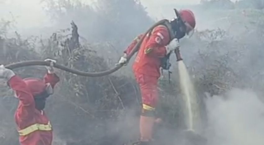 Hotspot Karhutla di Sumsel, Riau, dan Jambi Menurun