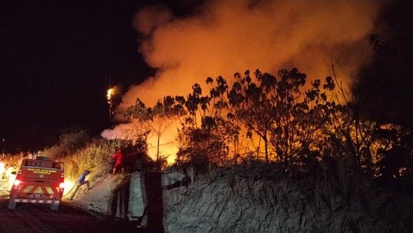 Update Terbaru Kebakaran Hutan di Sejumlah Wilayah Indonesia