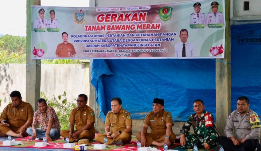 Pemkab Tapsel dan Pemprovsu Tanam Perdana Bawang Merah di Huntara Aek Latong