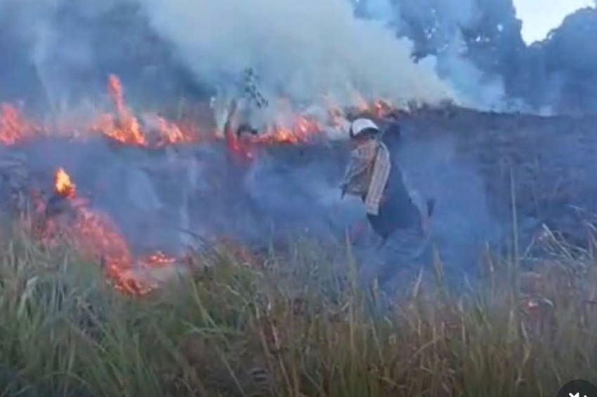 Gunung Rinjani Kembali Terbakar, Api Melalap Puluhan Hektare Kawasan TNGR