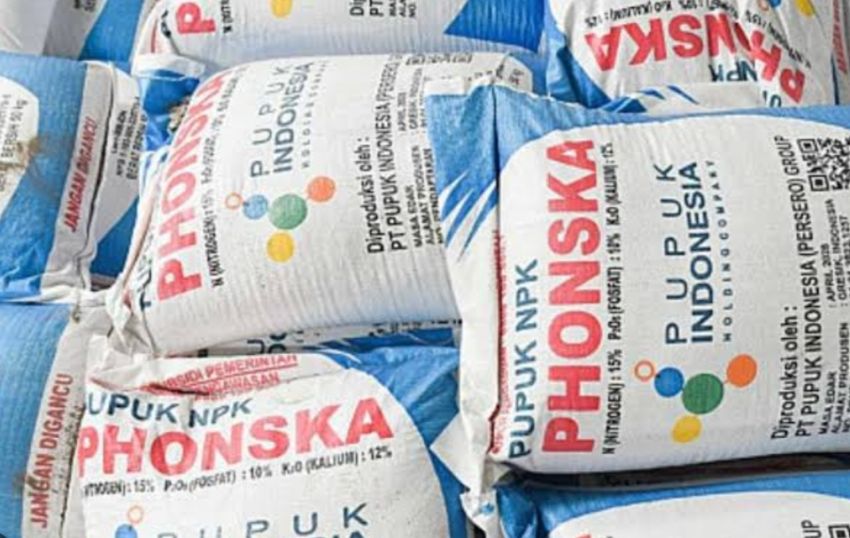 Pupuk Subsidi Sulit Didapat, Harga Mencekik, Petani di Sipirok Tapsel Menjerit
